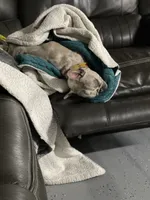 processed/7248b688-9457-42b0-ba9e-a3cc4637f092/facility/504f06da-8fef-4186-b0f2-584275462a80