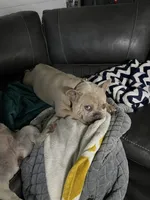 processed/7248b688-9457-42b0-ba9e-a3cc4637f092/facility/50f8a802-24d3-479b-be5c-bb0f09249eea