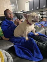 processed/7248b688-9457-42b0-ba9e-a3cc4637f092/facility/ec927b5d-8fae-4bb3-b22f-edf960f6e292