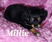 processed/724a939b-b23c-472a-b5d9-5d39c21ecff9/listing/950282ad-915b-490f-88b2-6338856a0091/ed80dc36-0371-43ed-852d-9ef1386a1fcd