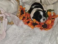 processed/725bef06-18ce-4657-bfc8-f30f01b0e25a/listing/f2340199-3276-4d33-b791-0829ae4f7f6b/463981d4-4e2c-45e2-aab6-1c3eb117dd1b