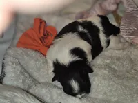 processed/725bef06-18ce-4657-bfc8-f30f01b0e25a/listing/f2340199-3276-4d33-b791-0829ae4f7f6b/f2d2f533-7130-4863-8787-94dd6199e29b