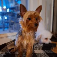 processed/7268a5d7-c028-412a-ae44-80f02cc8e83a/facility/0010b9c4-8cb7-474d-b8fa-636eb43786c6