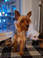 processed/7268a5d7-c028-412a-ae44-80f02cc8e83a/facility/0010b9c4-8cb7-474d-b8fa-636eb43786c6