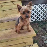 processed/7268a5d7-c028-412a-ae44-80f02cc8e83a/facility/26afbd6f-4fae-482a-b631-a58e7eab46a9