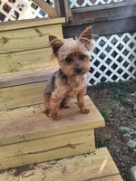 processed/7268a5d7-c028-412a-ae44-80f02cc8e83a/facility/26afbd6f-4fae-482a-b631-a58e7eab46a9