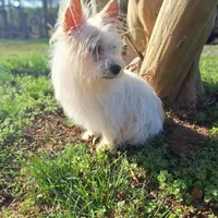 processed/7268a5d7-c028-412a-ae44-80f02cc8e83a/facility/3270373f-f2b2-4d9a-ab1f-1362e2ae3944