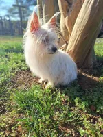 processed/7268a5d7-c028-412a-ae44-80f02cc8e83a/facility/3270373f-f2b2-4d9a-ab1f-1362e2ae3944