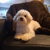 processed/7268a5d7-c028-412a-ae44-80f02cc8e83a/facility/89dd328c-7cd5-40fc-9f15-1abca3888123