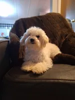 processed/7268a5d7-c028-412a-ae44-80f02cc8e83a/facility/89dd328c-7cd5-40fc-9f15-1abca3888123