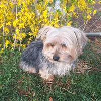 processed/7268a5d7-c028-412a-ae44-80f02cc8e83a/facility/b1d25b61-ad72-4fbf-910e-5699b8b55e5c