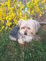 processed/7268a5d7-c028-412a-ae44-80f02cc8e83a/facility/b1d25b61-ad72-4fbf-910e-5699b8b55e5c