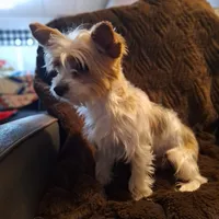 processed/7268a5d7-c028-412a-ae44-80f02cc8e83a/facility/f26bdb59-1008-4e45-be45-13ab5ec77d46