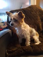 processed/7268a5d7-c028-412a-ae44-80f02cc8e83a/facility/f26bdb59-1008-4e45-be45-13ab5ec77d46