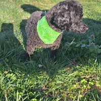 processed/7268a5d7-c028-412a-ae44-80f02cc8e83a/facility/fdaa7465-a4c9-4ea8-ac19-3cb0b00bbdba