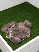 processed/72714701-e51f-4a00-8971-34bd1f0d317c/facility/81573659-c406-4c51-959e-f8e97e3c54e3