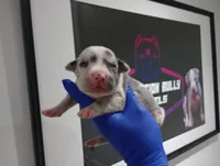 processed/72714701-e51f-4a00-8971-34bd1f0d317c/facility/eaac68d1-2776-4312-baf6-6ea28484ac95