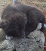 processed/72751400-0442-48a2-bb08-97bc8773c175/listing/61b993bd-e7b4-4b50-9a98-13a466ae2a3d/598491f2-298a-4809-881b-7d7031fc1df8