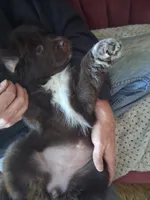 processed/72751400-0442-48a2-bb08-97bc8773c175/listing/61b993bd-e7b4-4b50-9a98-13a466ae2a3d/7b4eaa18-70c3-4f8e-a9e6-3986bd61c145