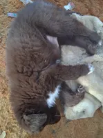 processed/72751400-0442-48a2-bb08-97bc8773c175/listing/61b993bd-e7b4-4b50-9a98-13a466ae2a3d/a6388ad7-9271-45a8-8454-e2398de8710c