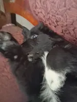 processed/72751400-0442-48a2-bb08-97bc8773c175/listing/64a1b6bf-f8ba-4d3a-89a9-686e3dbc04af/4c132211-16e3-4f43-88f1-cacb0bb101b4