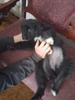 processed/72751400-0442-48a2-bb08-97bc8773c175/listing/64a1b6bf-f8ba-4d3a-89a9-686e3dbc04af/51fb5cdd-5f62-4bd5-9c4c-2bfb5c75af41