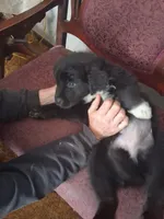 processed/72751400-0442-48a2-bb08-97bc8773c175/listing/64a1b6bf-f8ba-4d3a-89a9-686e3dbc04af/c757d9f4-9fda-40e3-bc6d-58fc6847bc3b