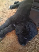 processed/72751400-0442-48a2-bb08-97bc8773c175/listing/a37908e7-ac1a-4591-8fc9-eaf39dc9a5fe/3664441d-a3c1-4ca5-beac-7681682bcf76