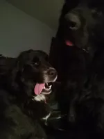 processed/72751400-0442-48a2-bb08-97bc8773c175/listing/a8b89cc7-d25a-47bd-9dc5-2c4eb7f229cd/0d215569-c2e4-4fe2-a145-f671101e3f59