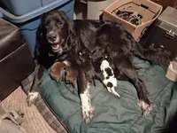 processed/72751400-0442-48a2-bb08-97bc8773c175/listing/a8b89cc7-d25a-47bd-9dc5-2c4eb7f229cd/2b484985-7715-4f27-8fb6-38aac8607814