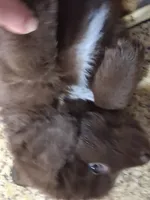 processed/72751400-0442-48a2-bb08-97bc8773c175/listing/a8b89cc7-d25a-47bd-9dc5-2c4eb7f229cd/473ed0cd-762b-426a-b181-eadb61d6a5c4