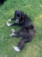 processed/72751400-0442-48a2-bb08-97bc8773c175/listing/a8b89cc7-d25a-47bd-9dc5-2c4eb7f229cd/6fe60d16-e019-4e9a-b9c7-413358417095