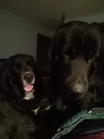 processed/72751400-0442-48a2-bb08-97bc8773c175/listing/a8b89cc7-d25a-47bd-9dc5-2c4eb7f229cd/ac8b6a44-0eef-4adc-a6bb-47f3e1c8e9c6