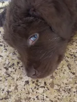 processed/72751400-0442-48a2-bb08-97bc8773c175/listing/a8b89cc7-d25a-47bd-9dc5-2c4eb7f229cd/bb228995-003c-4063-a12a-570dd6263804