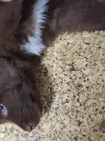 processed/72751400-0442-48a2-bb08-97bc8773c175/listing/a8b89cc7-d25a-47bd-9dc5-2c4eb7f229cd/c45585e1-f63b-4f50-bf73-29c81900b362