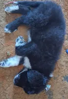 processed/72751400-0442-48a2-bb08-97bc8773c175/listing/ab777da8-fcb3-43ee-8e01-b48719007da1/0932deb1-917b-4512-89e6-527a94fea506