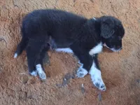 processed/72751400-0442-48a2-bb08-97bc8773c175/listing/ab777da8-fcb3-43ee-8e01-b48719007da1/6dc9d9eb-9c07-41c3-8797-41b923a59364