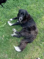 processed/72751400-0442-48a2-bb08-97bc8773c175/listing/ab777da8-fcb3-43ee-8e01-b48719007da1/9172d7d6-e613-440a-a18f-08cdfce43a7d