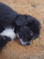 processed/72751400-0442-48a2-bb08-97bc8773c175/listing/ab777da8-fcb3-43ee-8e01-b48719007da1/c1367126-44dd-435b-92fb-aeb7cde5ce56