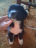 processed/72751400-0442-48a2-bb08-97bc8773c175/listing/ab777da8-fcb3-43ee-8e01-b48719007da1/cdc70e69-f85b-4d55-8318-380f67bf858e