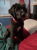 processed/72751400-0442-48a2-bb08-97bc8773c175/listing/bf58da9e-d7ef-4d45-9225-81a3ef8460ab/64235b82-12c5-4144-aaae-35d5ce86bbed