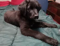 processed/72751400-0442-48a2-bb08-97bc8773c175/listing/bf58da9e-d7ef-4d45-9225-81a3ef8460ab/780178b2-88f5-454f-844c-6ab0d3e2de95