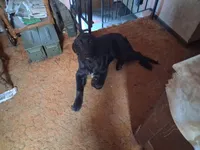 processed/72751400-0442-48a2-bb08-97bc8773c175/listing/bf58da9e-d7ef-4d45-9225-81a3ef8460ab/7daf3e79-7b18-4431-95f1-409ed3b929b2