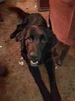 processed/72751400-0442-48a2-bb08-97bc8773c175/listing/bf58da9e-d7ef-4d45-9225-81a3ef8460ab/b55f8bdb-1205-4f48-bb4f-b8ce52382577