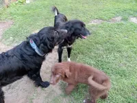 processed/72751400-0442-48a2-bb08-97bc8773c175/listing/bf58da9e-d7ef-4d45-9225-81a3ef8460ab/b850344d-07c6-43c5-8820-83991201d82c