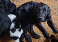 processed/72751400-0442-48a2-bb08-97bc8773c175/listing/bf58da9e-d7ef-4d45-9225-81a3ef8460ab/c3555cff-dad0-40ce-bda6-a0434eb94f88