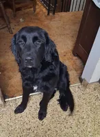 processed/72751400-0442-48a2-bb08-97bc8773c175/listing/bf58da9e-d7ef-4d45-9225-81a3ef8460ab/cd1e678d-b278-473f-a336-68a62a213211