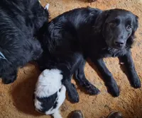 processed/72751400-0442-48a2-bb08-97bc8773c175/listing/bf58da9e-d7ef-4d45-9225-81a3ef8460ab/f7ca33e5-bd33-4653-9c73-687337e1d981