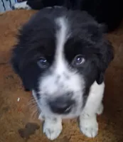 processed/72751400-0442-48a2-bb08-97bc8773c175/listing/dc5da69a-afce-4bb9-be54-1fa0e656f4e2/453beeaf-c688-401c-ae84-8120388f4f09