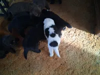 processed/72751400-0442-48a2-bb08-97bc8773c175/listing/dc5da69a-afce-4bb9-be54-1fa0e656f4e2/be32bc11-3c85-448d-b504-2dcf6e03379b